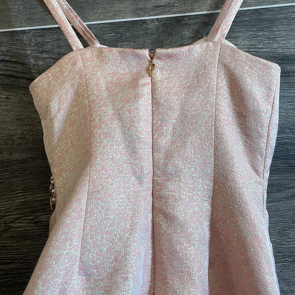 Pamella Roland Metallic Pearl Pink Evening Dress - Picture 7 of 9